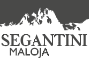 Logo Segantini.org